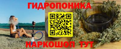 хмурый Гатчина